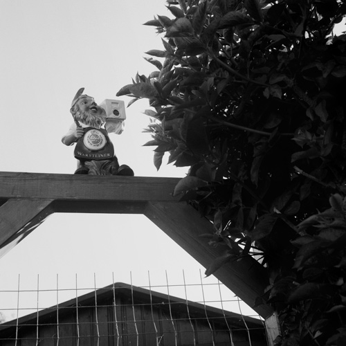 Garden gnome in allotments, Helgoland